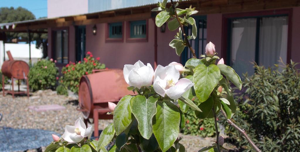Posada Caracoles Puerto Pirámides Cameră foto